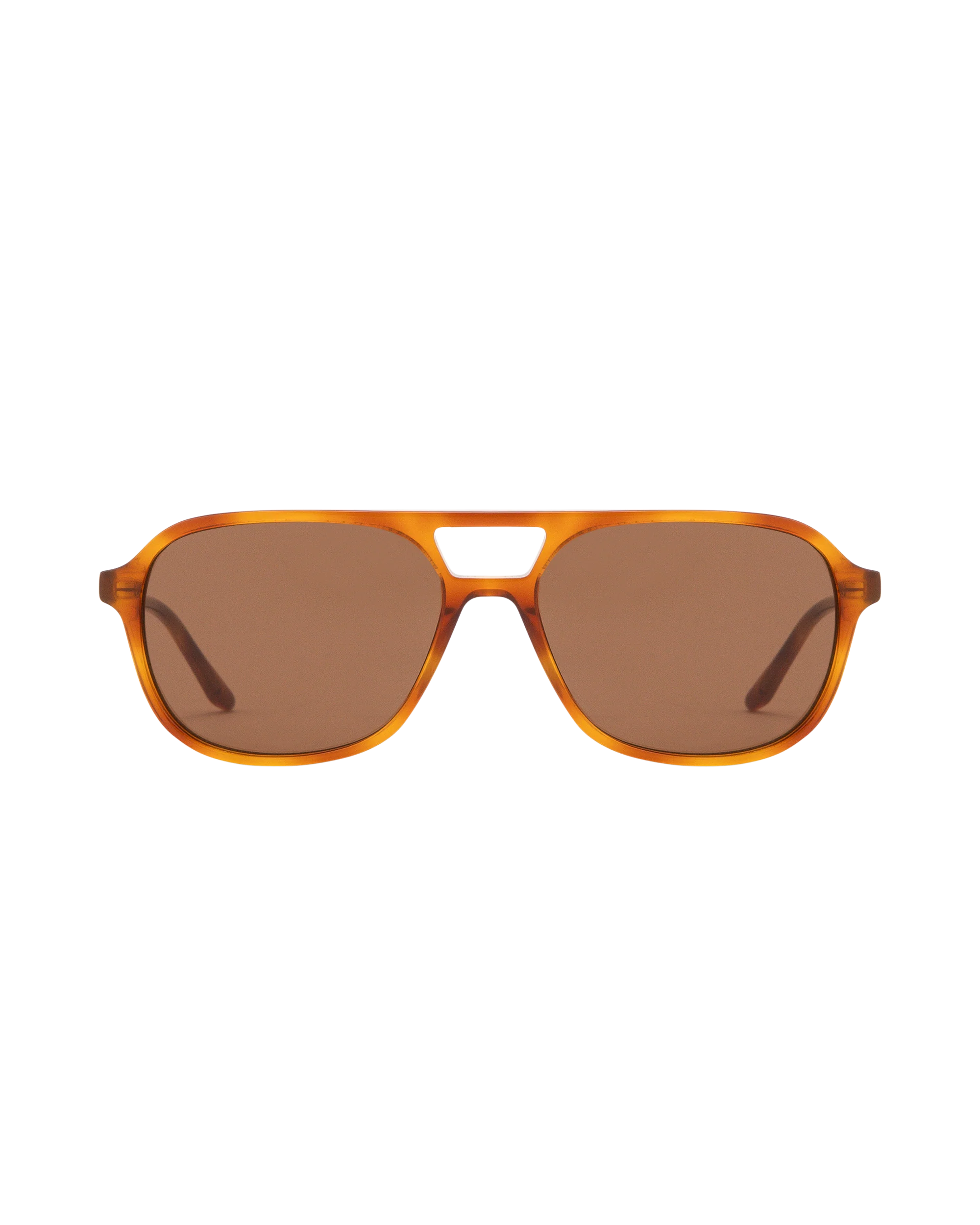 Elle - Honey Tortoise Sunglasses